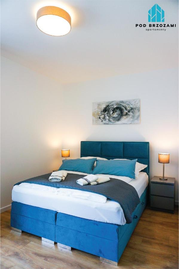 Pod Brzozami Sloneczne Apartment *