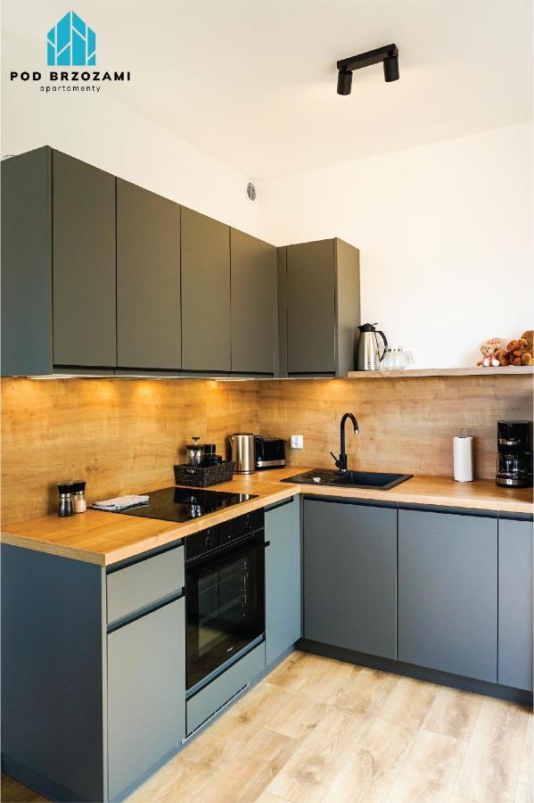 Pod Brzozami Sloneczne Apartment