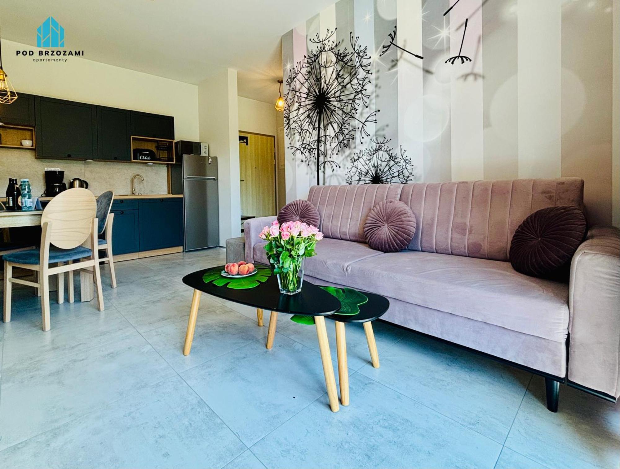 Pod Brzozami Sloneczne Apartment *